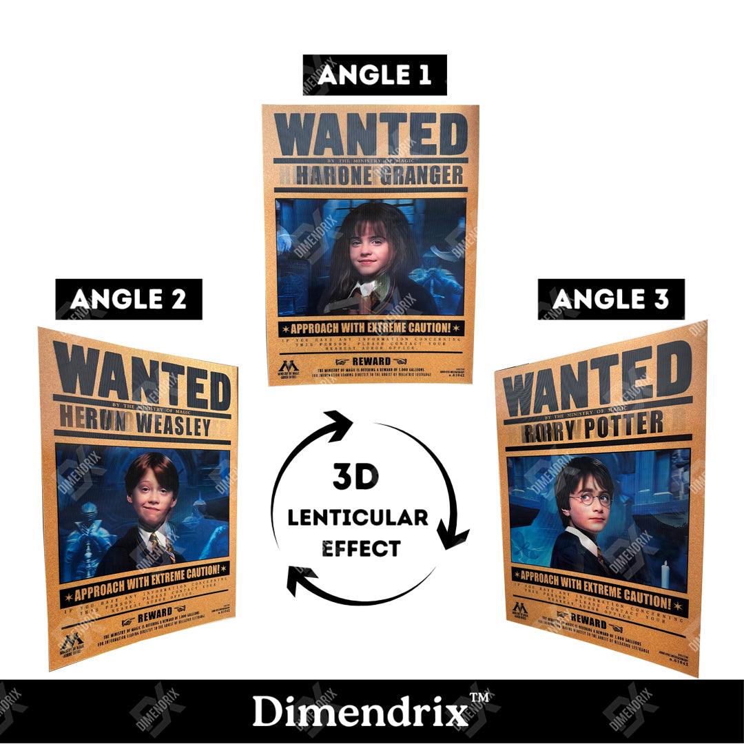 Harry Potter 3D Lenticular Poster – Dimendrix™