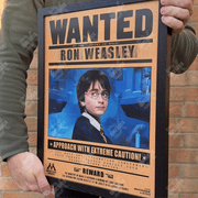 Harry Potter 3D Lenticular Poster – Dimendrix™